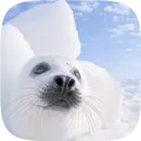 Стикер Pusa Seal