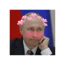 Стикер Путин КРАШ❤️
