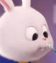 Snowball