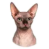 Рафа