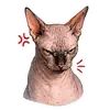 Стикер Рафа