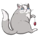 Random funny cats