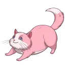 Стикер Random funny cats