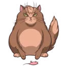 Стикер Random funny cats