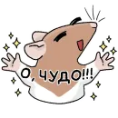 Стикер Будни крысовода