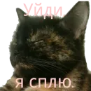 Стикер Кошка разговора