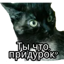 Стикер Кошка разговора