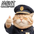 Стикер Кот полицейский