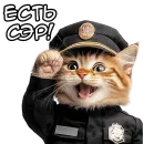 Стикер Кот полицейский