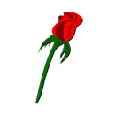 Стикер Rosedea