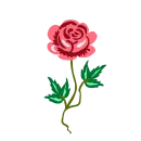 Стикер Rosedea