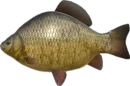 Стикер Russian Fishing 4