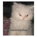 Стикер Ржачные животные