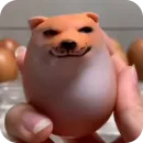 SHIBAKOOO