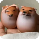 Стикер SHIBAKOOO