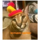 Стикер Шлёпа