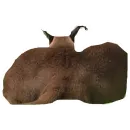 Стикер Шлепа 3