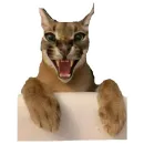 Стикер Шлепа 3