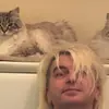Стикер Шуты