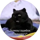 Стикер Кот Салем
