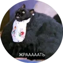 Стикер Кот Салем