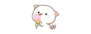 Котики