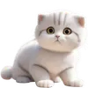 Стикер Котик Салапао