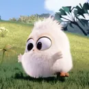 ㅤㅤㅤㅤ𝗦𝗮𝗺 ҂