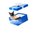 Стикер СамоКот
