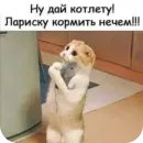 Стикер Cats