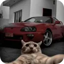 Стикер Cats