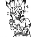 Dr Stone