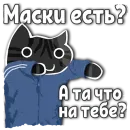 Коты