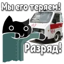 Стикер Коты