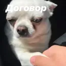 Стикер Себек
