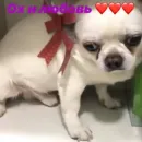 Стикер Себек