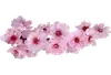 Стикер Separator Flower Thick