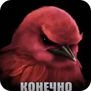 Стикер Birds Memes