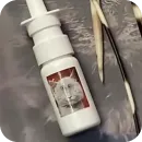 Стикер Серый котик