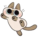 シャム猫あずき