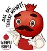 ШариВариОРЕЛ