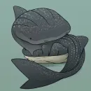 Стикер Shark pups