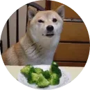 Стикер Shiba