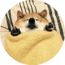 Стикер Shiba