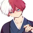 Shoto Todoroki