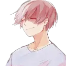 Стикер Shoto Todoroki
