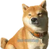 Стикер Siba inu fokuden