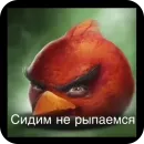 Angry Birds