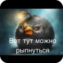 Стикер Angry Birds