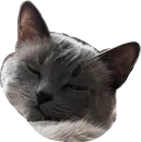 Стикер Sidkozel